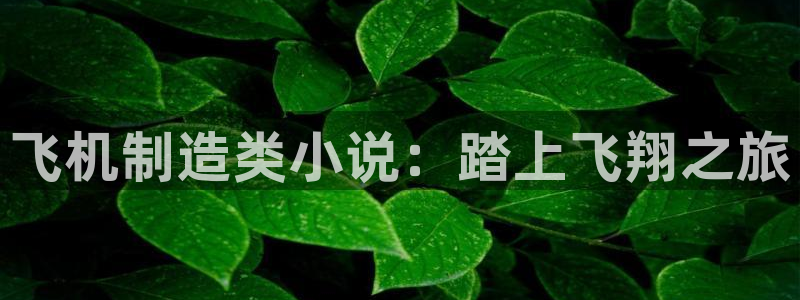 彩神争霸平台：飞机制造类小说：踏上飞翔之旅