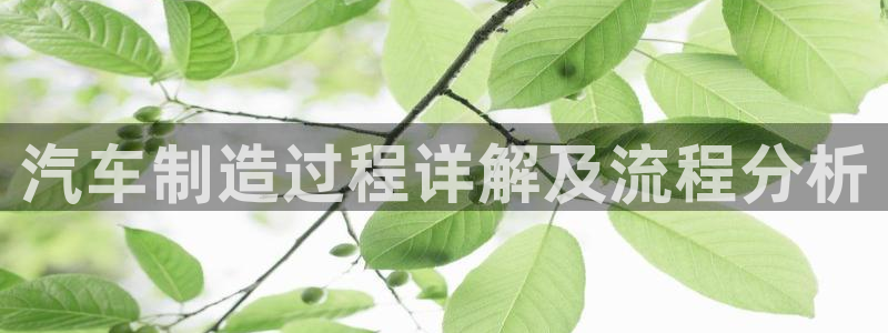 彩神是什么平台：汽车制造过程详解及流程分析