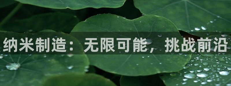 彩神赢钱了吗：纳米制造：无限可能，挑战前沿