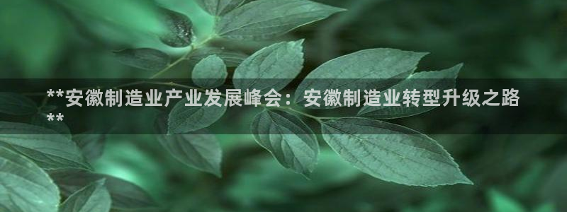 新版彩神v8登录：**安徽制造业产业发展峰会：安徽制造业转型升级之路
**