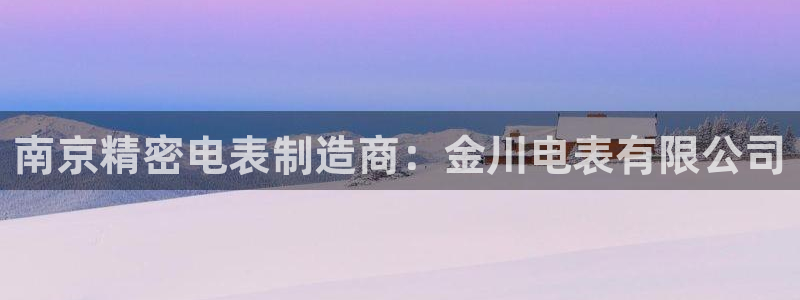 彩神ix官网是哪个公司的：南京精密电表制造商：金川电表有限公司