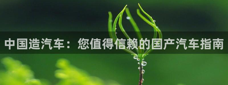 彩神v8首页：中国造汽车：您值得信赖的国产汽车指南