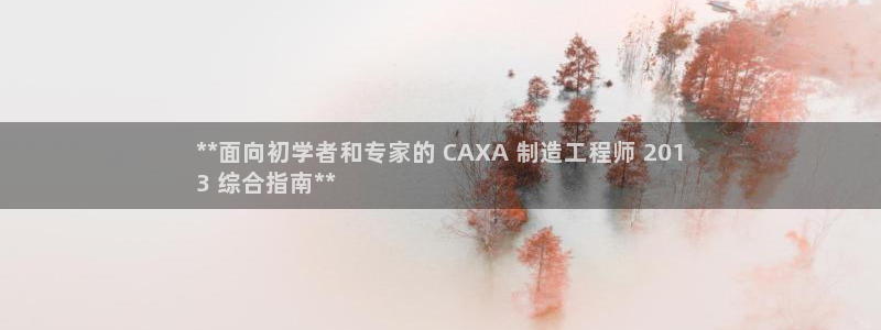 彩神新微聊：**面向初学者和专家的 CAXA 制造工程师 201
3 综合指南**