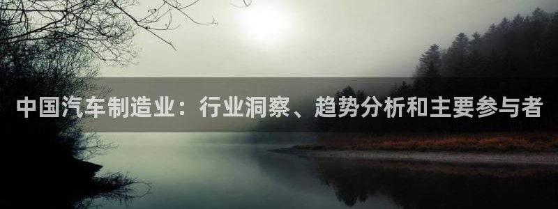 彩神通官网下载：中国汽车制造业：行业洞察、趋势分析和主要参与者