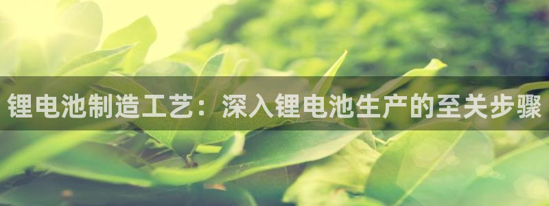 彩神赢钱了吗：锂电池制造工艺：深入锂电池生产的至关步骤