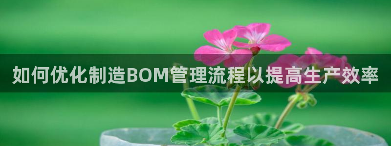 彩神ii官方网：如何优化制造BOM管理流程以提高生产效率