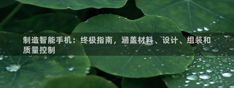 彩神购彩-购彩大厅入口计划群：制造智能手机：终极指南，涵盖材料、设计、组装和
质量控制